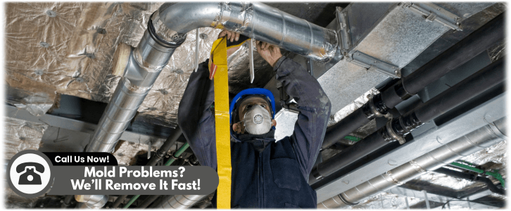 Air Duct Mold Removal in Baltimore