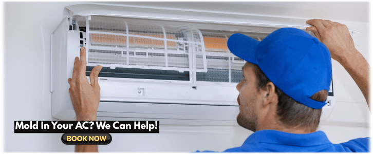 HVAC Mold Removal Baltimore